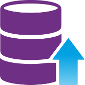 DATABASE_WRITER icon